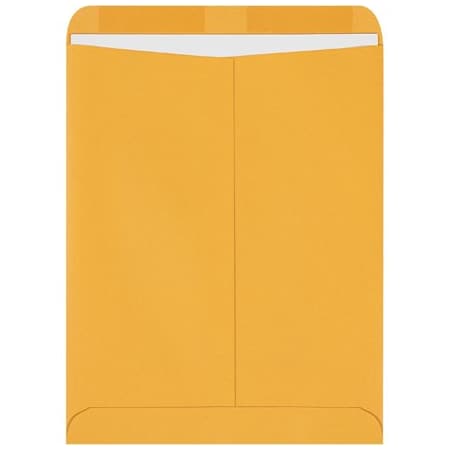 Bsc Preferred 11-1/2 x 14-1/2'' Kraft Gummed Envelopes, 250PK BUY00017234